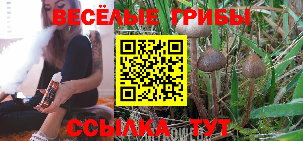 Галлюциногенные грибы мицелий  Вход с VPN  Галлюциногенные грибы GOLDEN TEACHER  Дзержинск 